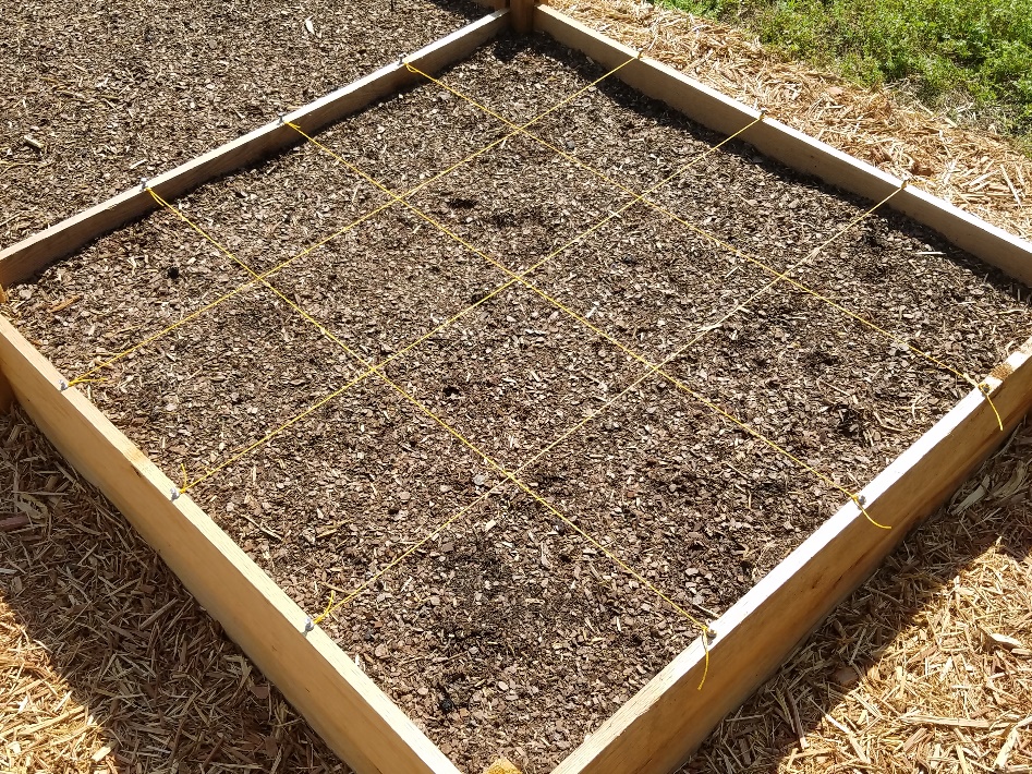 Making A Square Foot Garden Grid – VINES